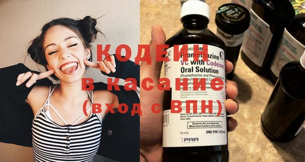индика Лагань