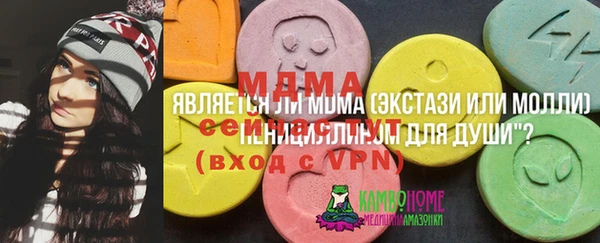 мдпв Лабытнанги