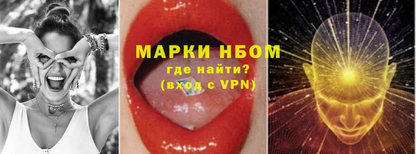 мдпв Лабытнанги