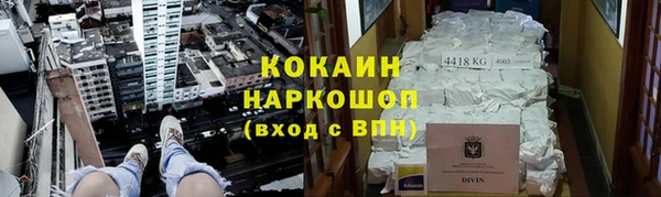 индика Лагань