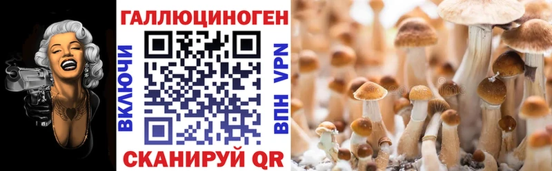 hydra ссылка  Кукмор  Псилоцибиновые грибы Cubensis 